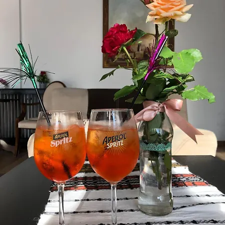 Casa Domneasca Bed & Breakfast Cacica